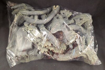 DeAgostini Toho Kaiju Collection Biollante Adult image 1