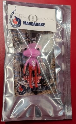 Studio-Uoo! Wonder Frog Fortune Wonder Friend Piani Jillian Limited Edition