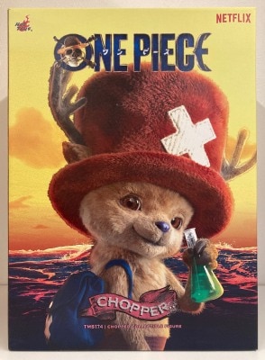 HOTTOYS TELEVISON MASTERPIECE CHOPPER TMS174 画像 1