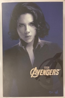 HOTTOYS MOVIE MASTERPIECE BLACK WIDOW (MMS178) MMS178