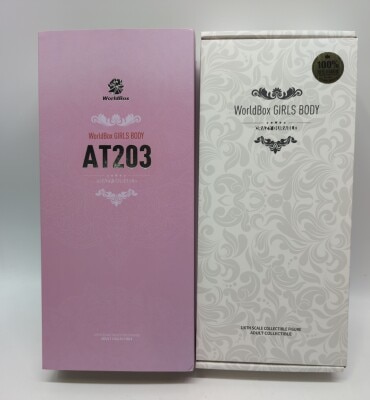 WORLDBOX CRAZY DURABLE AT203 1/6 Scale รูปภาพ 1