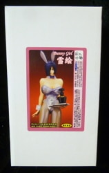 Daiki Kougyou Daiki Kougyou Bunny Girl Yukie / Original / PVC finished product รูปภาพ 1