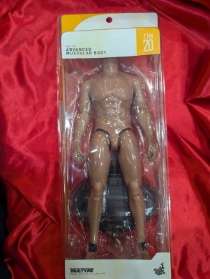 HOTTOYS FULLY POSEABLE ACTION FIGURE ADVANCED MUSCULAR BODY 1/6 Scale
