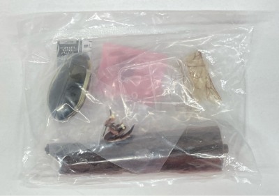 Bandai Aquatic Insects 02: Diving Beetle Display stand& Perch Set, Advanced Encyclopedia of Living Things 1: Common Diving Beetle (Male) 圖片 1