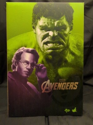 HOTTOYS MOVIE MASTERPIECE BRUCE BANNER and HULK SET MMS230