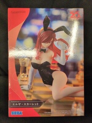 SEGA Yumemirize FAIRYTAIL Erza Scarlet gambar 1