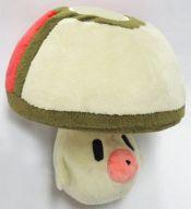 ぬいぐるみ タマゲタケ ポケドール(ぬいぐるみ) 「ポケットモンスター」