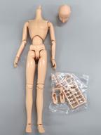 ドールアクセサリー 1/6 男性素体 ニューエクセレントベースモデル NEW-EB-N(青年) 新肌色タイプ ボークスショップ＆ホビー天国ウェブ限定