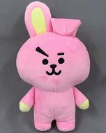 ぬいぐるみ COOKY(ジョングク) プラッシュドール(ぬいぐるみ) 「BT21」