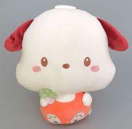 ぬいぐるみ ポチャッコ ポコポコきのこドールBIGタイプ1 「サンリオキャラクターズ」