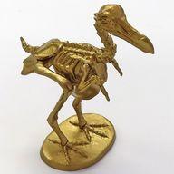 食玩 トレーディングフィギュア ドードー 骨格バージョン(金) 「世界の動物コレクション 動物世界遺産 レッド・データ・アニマルズ 第1弾 ユーラシア・北アメリカ・アフリカ編」 海洋堂ホビーロビー限定