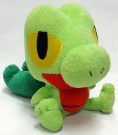 ぬいぐるみ キモリ ポケドール(ぬいぐるみ) 「ポケットモンスター」 ポケモンセンター限定