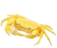 Trading Figure Gold Color Nature Technicolor Mono Plus Sawagani Figure Mascot image 1