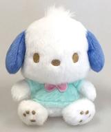 ぬいぐるみ ポチャッコ パステルポップシリーズ ビーンドール 「サンリオキャラクターズ」