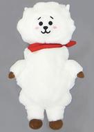 ぬいぐるみ RJ(ジン/顔に毛無し) プラッシュドール(ぬいぐるみ) 「BT21」 imagen 1