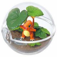 食玩 トレーディングフィギュア 1.ヒトカゲ 「ポケットモンスター テラリウムコレクション3」