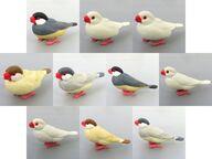 トレーディングフィギュア 全10種セット 「もっちり文鳥」