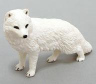 トレーディングフィギュア ホッキョクギツネ 「カプセルQミュージアム WILD RUSH 真・世界動物誌III 〜極地・北極圏編〜」