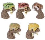 トレーディングフィギュア 全5種セット 「いきもの大図鑑 指まきコレクション ツノガエルとアメフクラガエルとバジェットガエル」