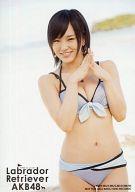 生写真(AKB48・SKE48)/アイドル/NMB48 山本彩/水着・膝上/CD「ラブラドール・レトリバー」通常盤特典 image 1
