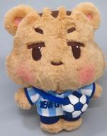 DARAMING (Minho) Soccer Player Character Plush - SHINee image 1