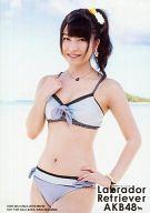 生写真(AKB48・SKE48)/アイドル/AKB48 横山由依/水着・膝上/CD「ラブラドール・レトリバー」通常盤特典