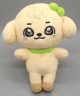 ぬいぐるみ GANGANJI(ユジン) PLUSH DOLL(ぬいぐるみ) 「MINiVE」