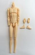 ドールアクセサリー 1/6用 男性ボディ PW-29BODY アイボリーベージュ 「六分の一男子図鑑」 image 1