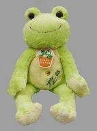 ぬいぐるみ ピクルス(ハピネスクローバー/スプリング) ビーンドール ガーデンシリーズ 「pickles the frog-かえるのピクルス-」 รูปภาพ 1