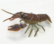 Natural Color Crustaceans Shrimp & Crab Encyclopedia I Japanese Crayfish Secret 2 Trading Figure image 1
