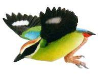 トレーディングフィギュア ヤイロチョウ ｢カプセルQミュージアム 日本の動物コレクションIV 四国/最後の清流の郷｣ รูปภาพ 1