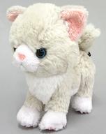 ぬいぐるみ ラグドール ぬいぐるみ 「kitten-キトン-」 이미지 1