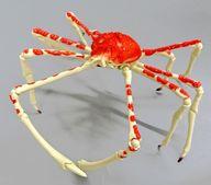 トレーディングフィギュア 1.タカアシガニ 「いきもの大図鑑 かに02」 รูปภาพ 1