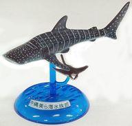 トレーディングフィギュア 05.ジンベエザメとマンタ 「カプセルフィギュアコレクション 沖縄美ら海水族館」 沖縄美ら海水族館限定 Bild 1