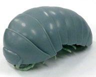 トレーディングフィギュア グレーのだんごむし 「だんごむし02」 圖片 1