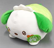 ぬいぐるみ ポチャッコ うるトラ推しが尊いドールBIGタイプ 「サンリオキャラクターズ」 รูปภาพ 1