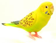 トレーディングフィギュア セキセイインコ(緑) 「手のりインココレクション 〜新しい仲間たち〜」