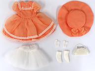 22cm Doll Birthday Dress Set (2017 Edition) image 1