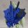 Bandai FW GUNDAM CONVERGE Part.17 All 6 Normal Types + All 2 Secret Types Set image 13