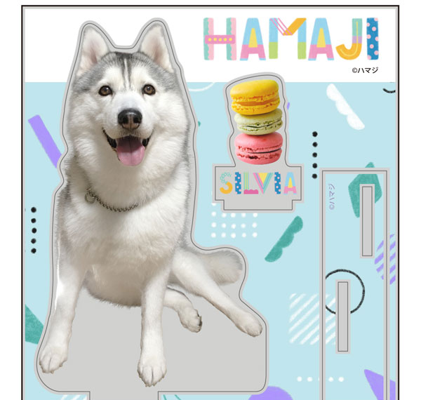 COSPA Hamaji Silvia Acrylic Stand Bild 1