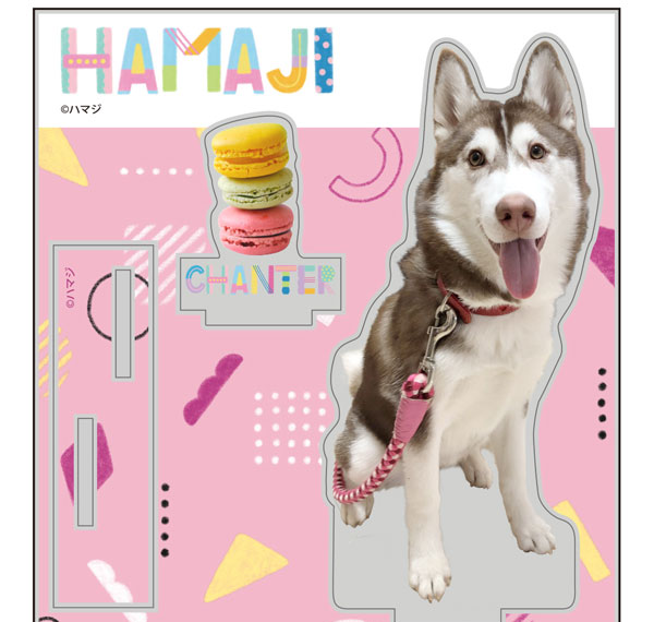 COSPA Hamaji Chanter Acrylic Stand รูปภาพ 1