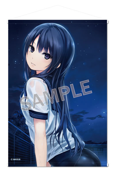 Brendream Coffee Kizoku B2 Wall Scroll SECRET NIGHT- Rika Shiramine