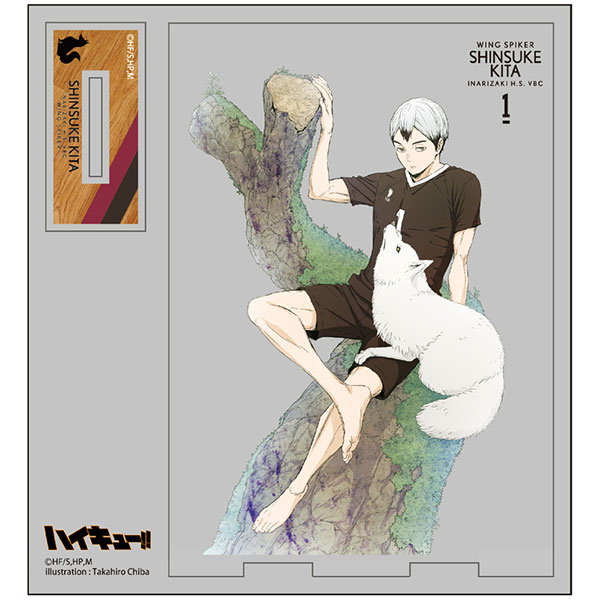 COSPA Haikyuu!! New Illustration Shinsuke Kita Acrylic Stand imagen 1