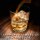 COSPA Black Lagoon Yellow Flag Rock Glass gambar 2