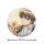COSPA Gintama New Illustration Sougo Okita 65mm Tin Badge Still Sleepy, But Gotta Get Ready Ver. รูปภาพ 2