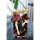COSPA Haikyuu!! Osamu Miya Acrylic Stand (Large) Ver.1.0 Bild 3