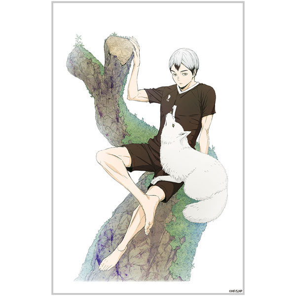 COSPA Haikyuu!! Shinsuke Kita Acrylic Art Stand Ver.1.0