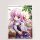Curtain Damashii Yoake Mae yori Ruriiro na B2 Wall Scroll (Estel / Summer) Bild 2