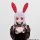 Gift Touhou Project Plüschserie Reisen Udongein Inaba FumoFumo Udonge. (Mittlere Größe) Bild 3