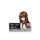 COSPA Steins;Gate Kurisu Makise Dialogue Acrylic Stand รูปภาพ 2
